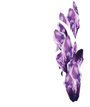 Amatista Supplies